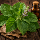 Patchouli
