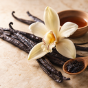Vanilla