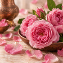 Turkish Damascena Rose