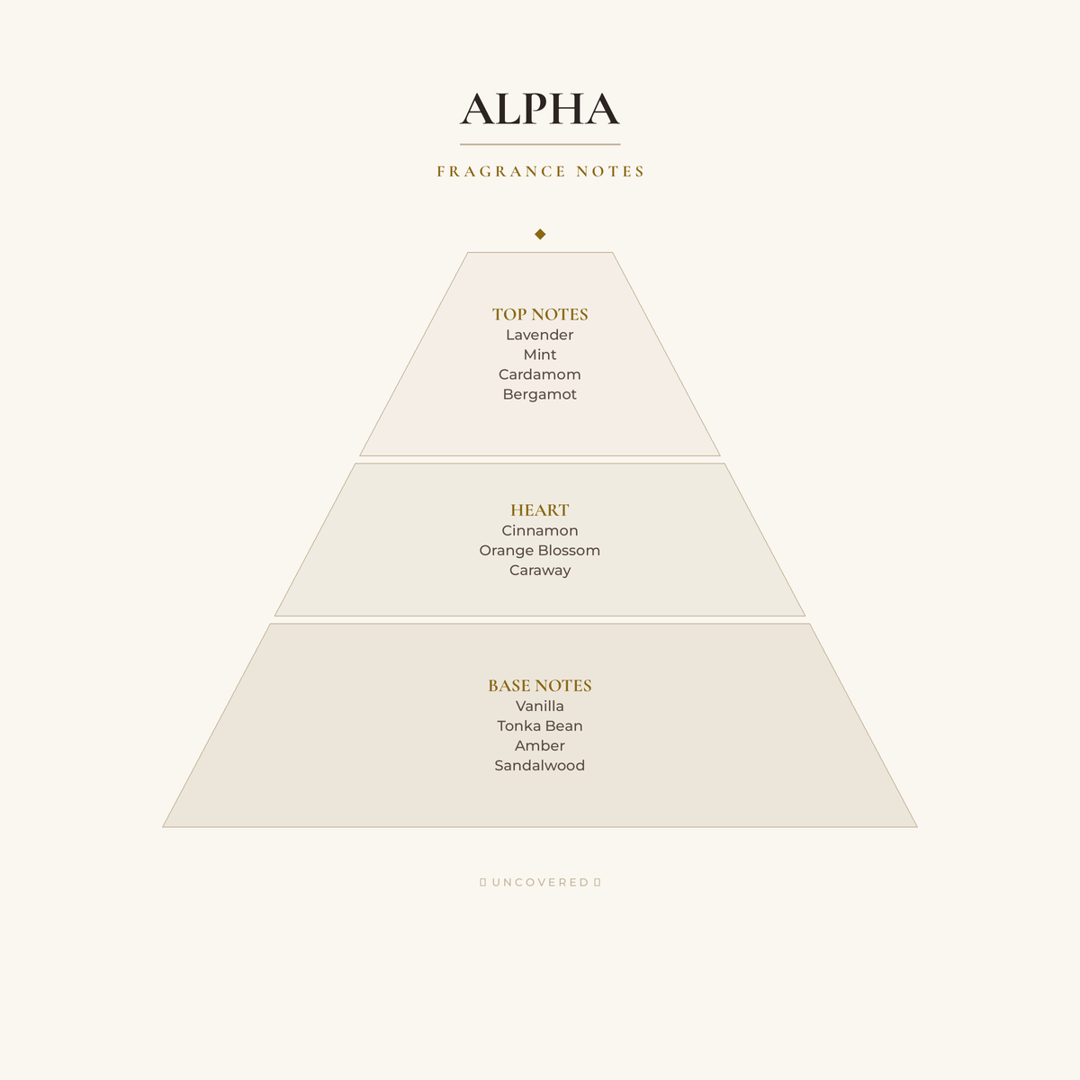 Fragrance Notes Pyramid - Alpha