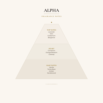 Fragrance Notes Pyramid - Alpha