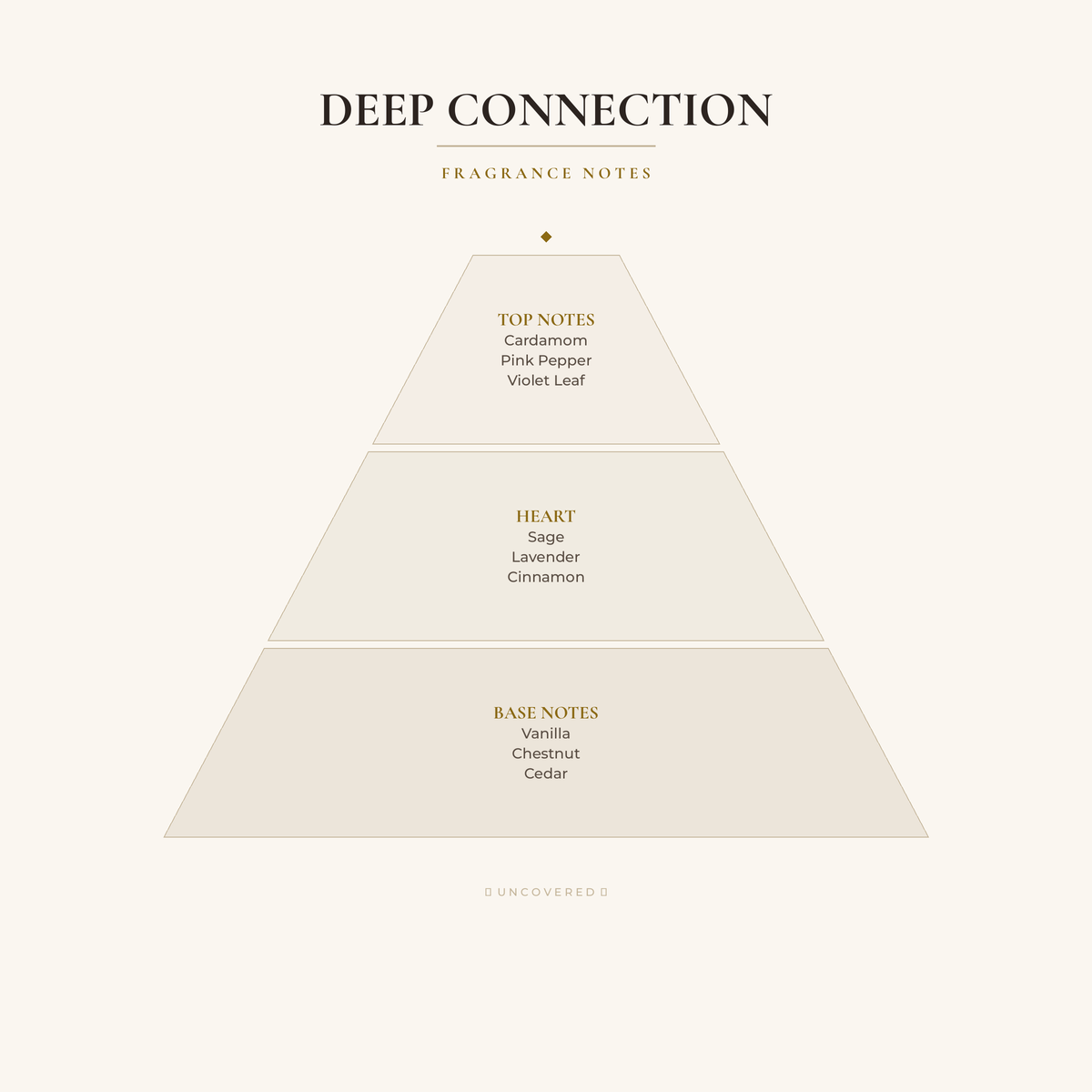 Fragrance Notes Pyramid - Deep Connection