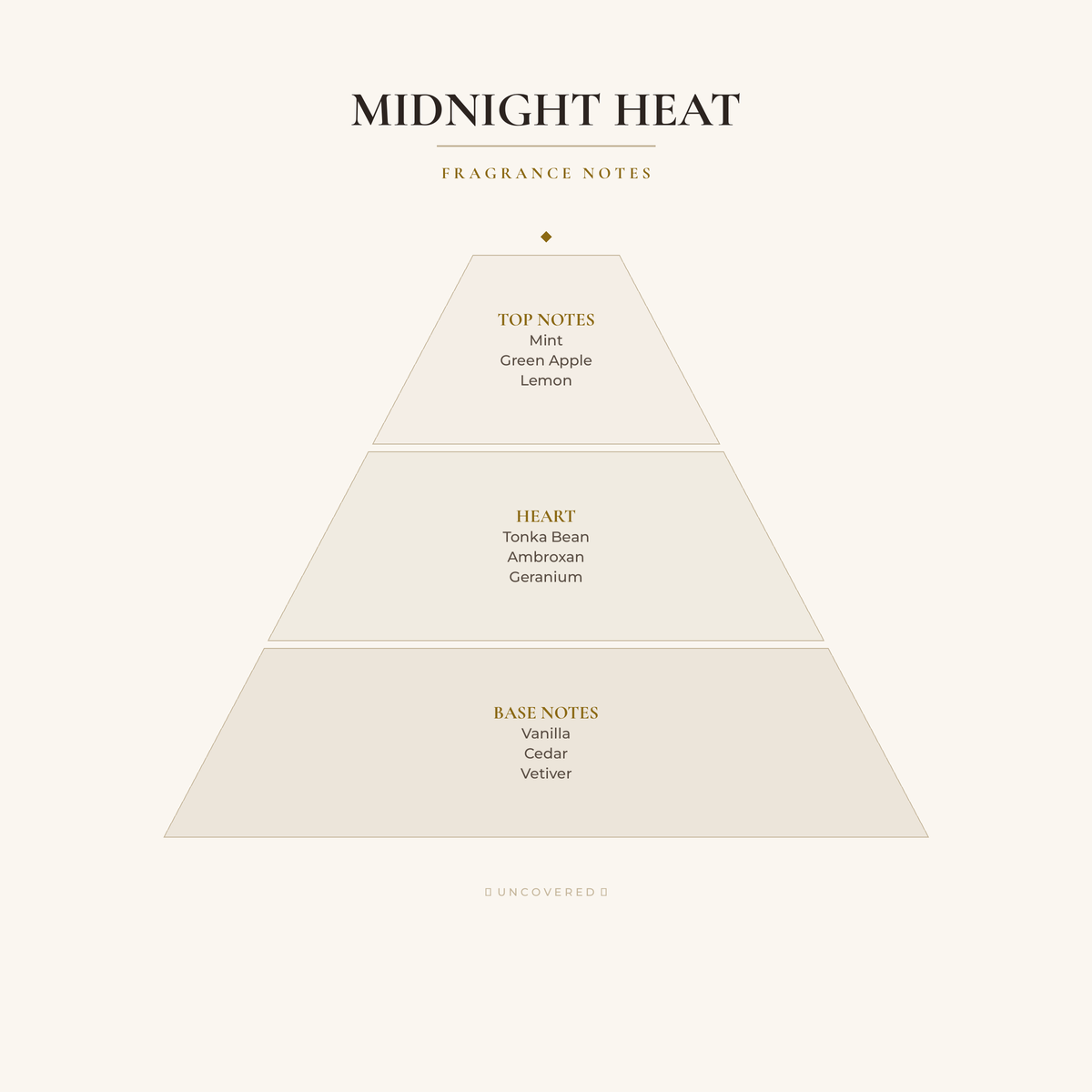 Fragrance Notes Pyramid - Midnight Heat