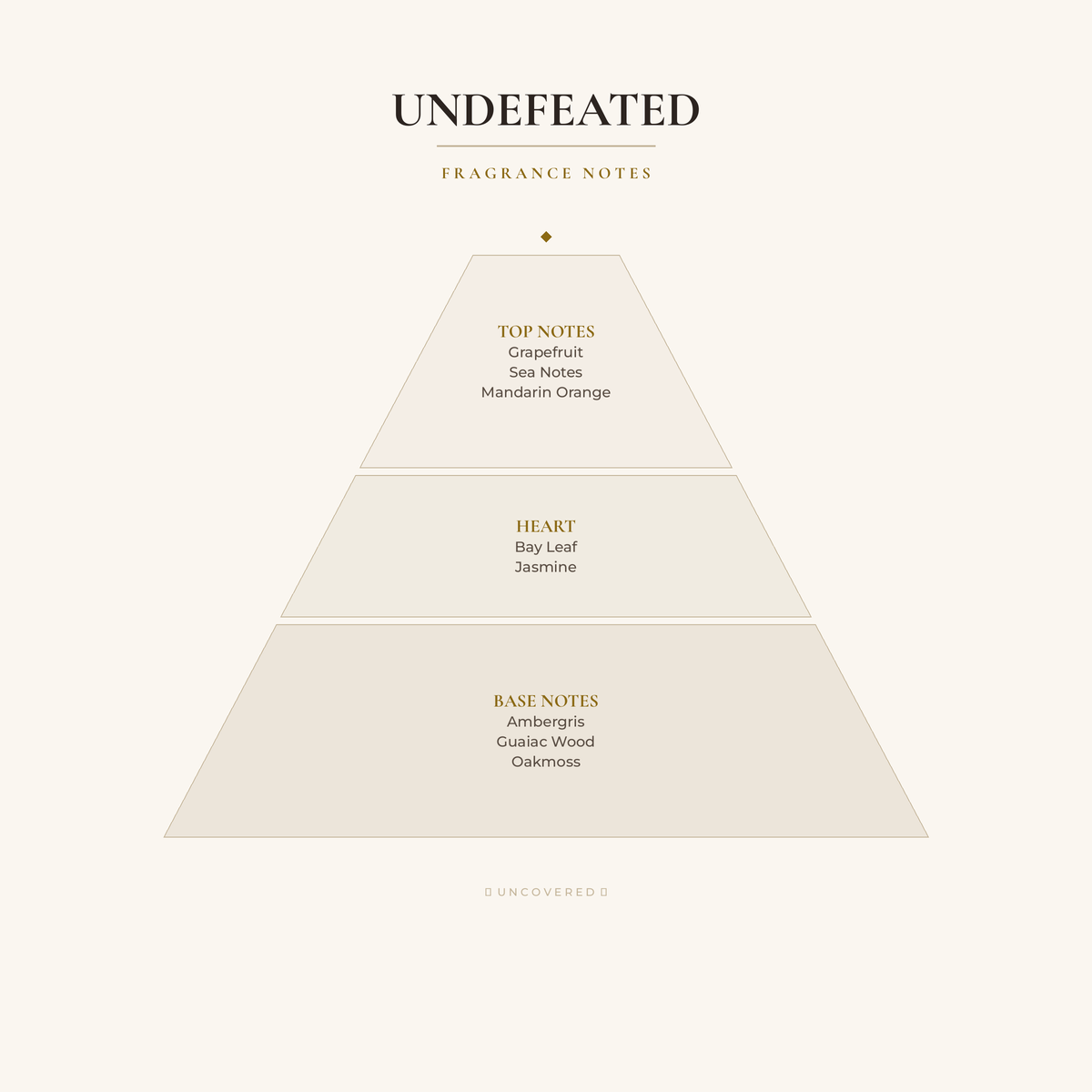 Fragrance Notes Pyramid - Undefeated