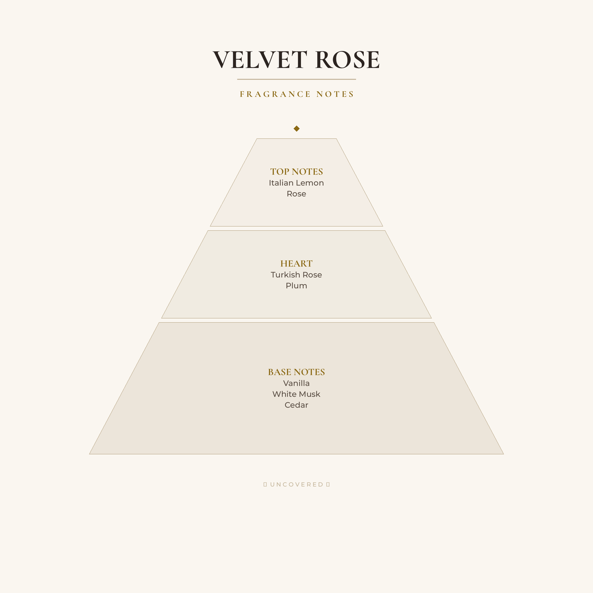 Fragrance Notes Pyramid - Velvet Rose