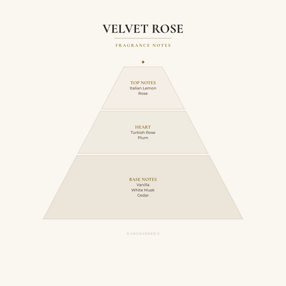 Fragrance Notes Pyramid - Velvet Rose