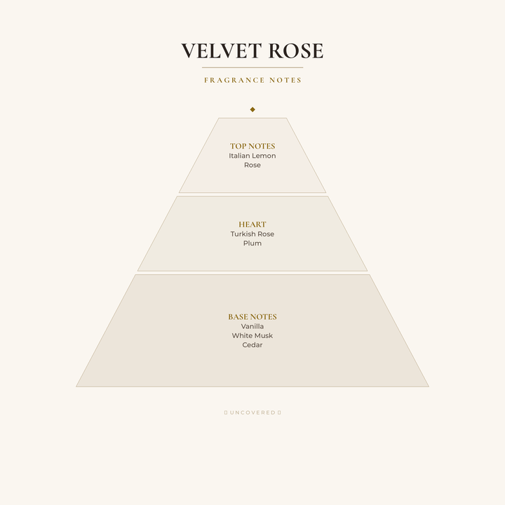 Fragrance Notes Pyramid - Velvet Rose